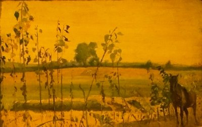 Cavallo in un paesaggio da Laszlo Mednyanszky